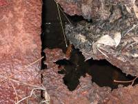 Wacol - Rusted Drain Cover